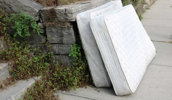 65eb5fb6066c2b6ca23aaf1b_Junk Removal Stock-075 (1)