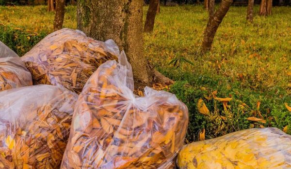 Yard-Waste-Removal-Wilks-Junk-Service (1)